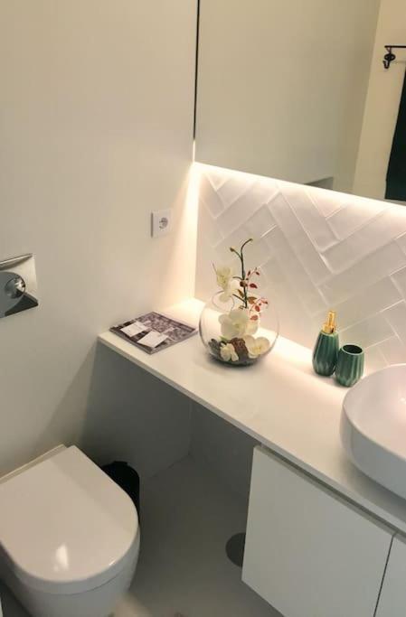 Studio Jardim Sao Lazaro 포르투 외부 사진